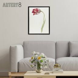 "Artery8 Pink Tulip Flower Drawing Jean Bernard Vintage Framed Canvas Wall Art in White - Size: W12"" x H16""" - thumbnail 3