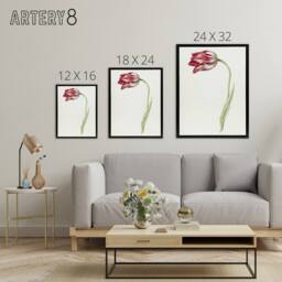 "Artery8 Pink Tulip Flower Drawing Jean Bernard Vintage Framed Canvas Wall Art in White - Size: W12"" x H16""" - thumbnail 4