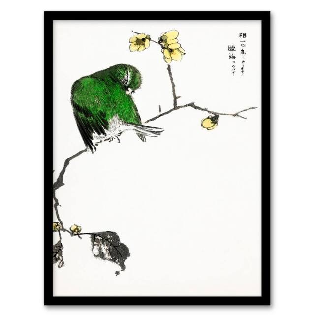 Artery8 Numata Kashu Framed Wall Art Print Fairy Pitta & Japan Allspice - Size: A4 - image 1