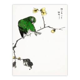 Artery8 Numata Kashu Framed Wall Art Print Fairy Pitta & Japan Allspice - Size: A4 - thumbnail 3