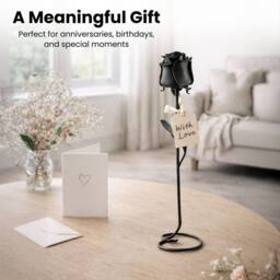Novecrafto Forged Black Iron Rose With Stand - Gift for Wedding Anniversary - thumbnail 7