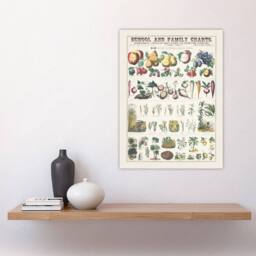 "Artery8 School & family chart No XXI Calkins Wall Art Poster Print in White - Size: W18"" x H24""" - thumbnail 4