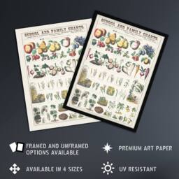 "Artery8 School & family chart No XXI Calkins Wall Art Poster Print in White - Size: W18"" x H24""" - thumbnail 2