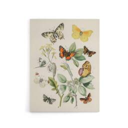 "Artery8 Butterflies Moths Caterpillars Kirby Vintage Canvas Wall Art in White - Size: W18"" x H24""" - thumbnail 1