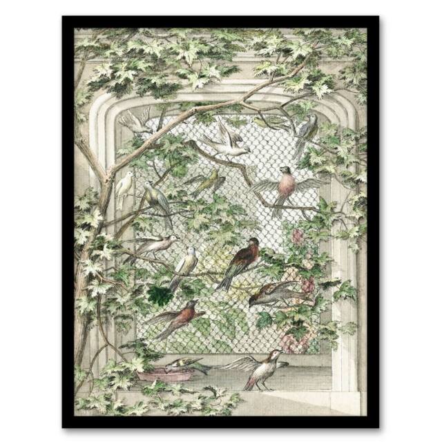 Artery8 Aert Schouman Framed Wall Art Print Aviary with Fourteen Birds in Green - Size: A4 - image 1