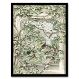 Artery8 Aert Schouman Framed Wall Art Print Aviary with Fourteen Birds in Green - Size: A4 - thumbnail 1