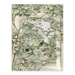 Artery8 Aert Schouman Framed Wall Art Print Aviary with Fourteen Birds in Green - Size: A4 - thumbnail 3