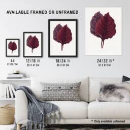 Artery8 AF Lydon Benjamin Fawcett Red Amaranth Leaf Framed Wall Art Print in White - Size: A4 - thumbnail 3