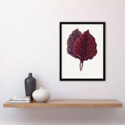 Artery8 AF Lydon Benjamin Fawcett Red Amaranth Leaf Framed Wall Art Print in White - Size: A4 - thumbnail 4