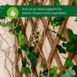 Marco Paul 1.8m Tan Wooden Expendable Trellis for Garden Plants in Beige - thumbnail 4