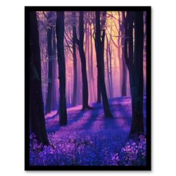 "Artery8 Realistic Purple Bluebell Forest Artwork Dawn Sun Framed Art Print - Size: W12"" x H16""" - thumbnail 1