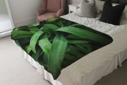 Benjamin Tate Design Atmospheric background, Selective focus Designer Blanket in Natural - Size: 120 cm x 150 cm - thumbnail 4