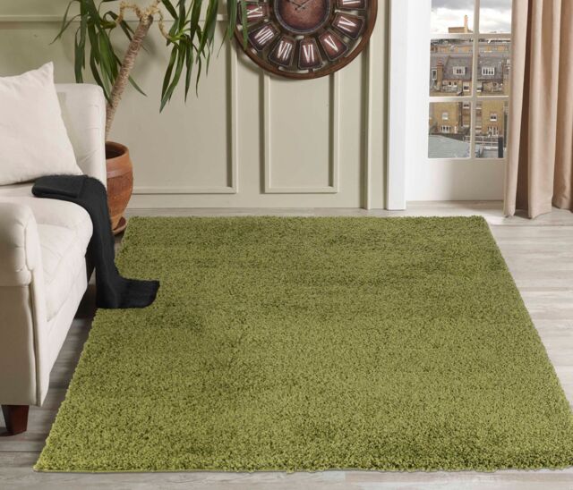 Desire Rugs Modern Elegant Soft Shaggy Rug for Living Rooms - Stylish Area Rugs in Green - Size: 60 cm x 110 cm - image 1