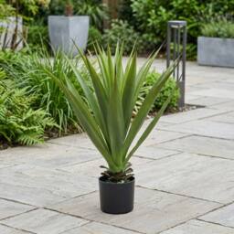 Garden Greatness Realistic Artificial Potted Sisal Plant in Green - thumbnail 1