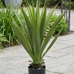 Garden Greatness Realistic Artificial Potted Sisal Plant in Green - thumbnail 2