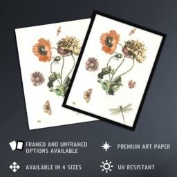Artery8 Poppies Butterflies & Dragonfly Teyler Framed Wall Art Print in White - Size: A4 - thumbnail 2