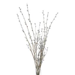 Hill Interiors Faux Pussy Willow Branch in Brown - thumbnail 4