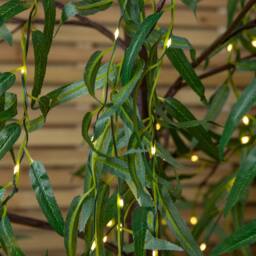 Samuel Alexander 7ft (2.1m) Tall Christmas Willow Tree with 384 Warm White LEDs in Green - thumbnail 6