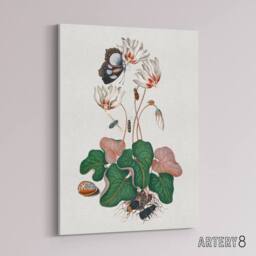 "Artery8 Cyclamen Butterfly Beetles & Shell Bolton Canvas Wall Art in White - Size: W18"" x H24""" - thumbnail 2