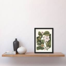 Artery8 Balsam Tree Flower Vintage Botanical Catesby Framed Wall Art Print in Green - Size: A4 - thumbnail 2