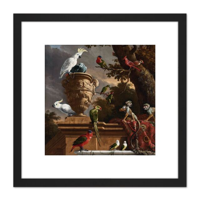 Artery8 Hondecoeter Menagerie Exotic Birds Parrots Painting 8X8 Inch Square Wooden Framed Wall Art Print Picture with Mount in Black - image 1