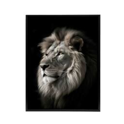 "Artery8 Strong Majestic Lion Head Photo Framed Canvas Wall Art Print in Black - Size: W12"" x H16""" - thumbnail 1