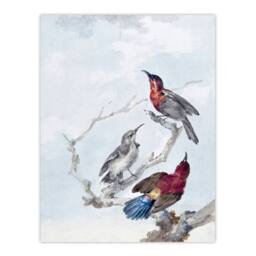 "Artery8 Three Crimson Sunbirds Watercolour Schouman Wall Art Poster Print in Blue - Size: W24"" x H32""" - thumbnail 1