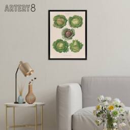 "Artery8 Cabbages Botanical Kitchen Ernst Benary Framed Canvas Wall Art Print in White - Size: W24"" x H32""" - thumbnail 3