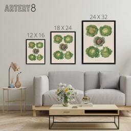 "Artery8 Cabbages Botanical Kitchen Ernst Benary Framed Canvas Wall Art Print in White - Size: W24"" x H32""" - thumbnail 4
