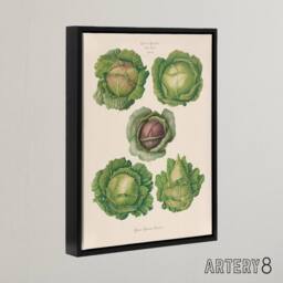 "Artery8 Cabbages Botanical Kitchen Ernst Benary Framed Canvas Wall Art Print in White - Size: W24"" x H32""" - thumbnail 2