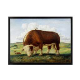 "Artery8 John S Curry Ajax Hereford Bull & Birds Framed Canvas Wall Art Print - Size: W12"" x H16""" - thumbnail 1