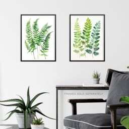 Artery8 Set of 3 Fern Fronds Leaves Botanical Watercolour A4 Size Art Prints in Green - thumbnail 6