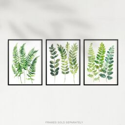 Artery8 Set of 3 Fern Fronds Leaves Botanical Watercolour A4 Size Art Prints in Green - thumbnail 5