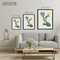 "Artery8 Opuntia Polyanthos Cactus Redoute Vintage Black Framed Canvas Wall Art in White - Size: W12"" x H16""" - thumbnail 4