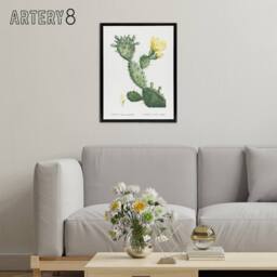 "Artery8 Opuntia Polyanthos Cactus Redoute Vintage Black Framed Canvas Wall Art in White - Size: W12"" x H16""" - thumbnail 3