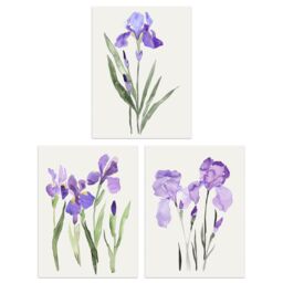 "Wee Blue Coo Set of 3 Prints Watercolour Iris Floral Flowers Purple Wall Art - Size: W12"" x H16""" - thumbnail 1