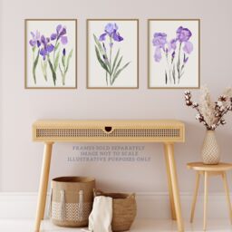 "Wee Blue Coo Set of 3 Prints Watercolour Iris Floral Flowers Purple Wall Art - Size: W12"" x H16""" - thumbnail 2