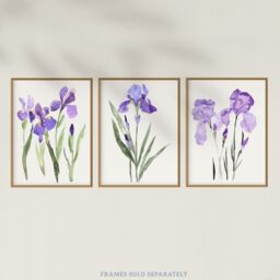 "Wee Blue Coo Set of 3 Prints Watercolour Iris Floral Flowers Purple Wall Art - Size: W12"" x H16""" - thumbnail 5
