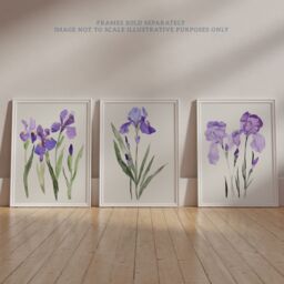 "Wee Blue Coo Set of 3 Prints Watercolour Iris Floral Flowers Purple Wall Art - Size: W12"" x H16""" - thumbnail 6
