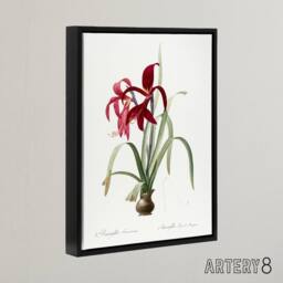 "Artery8 Aztec Lily Botanical Redoute Vintage Black Framed Canvas Wall Art in White - Size: W12"" x H16""" - thumbnail 2