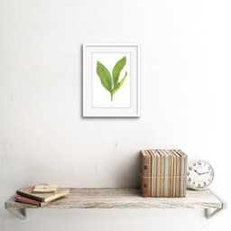 "Artery8 Wall Art Print Leaf Convallaria Majalis Variegata Art Framed 9x7 inch in White - Size: W7"" x H9""" - thumbnail 2