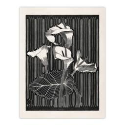 Artery8 Samuel J De Mesquita Framed Wall Art Stylised Calla Lily Flowers in Black - Size: A4 - thumbnail 3