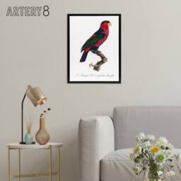 "Artery8 The Black Capped Lory Parrot Levaillant Framed Canvas Wall Art Print in White - Size: W12"" x H16""" - thumbnail 3