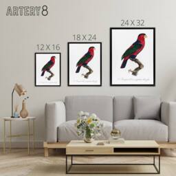"Artery8 The Black Capped Lory Parrot Levaillant Framed Canvas Wall Art Print in White - Size: W12"" x H16""" - thumbnail 4