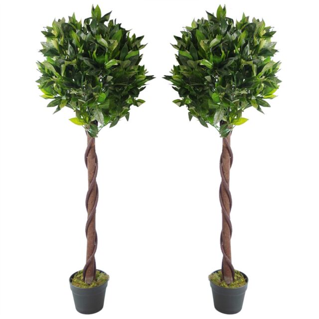 Leaf Pair of 120cm (4ft) Twisted Trunk Artificial Topiary Bay Laurel Ball Trees in Green