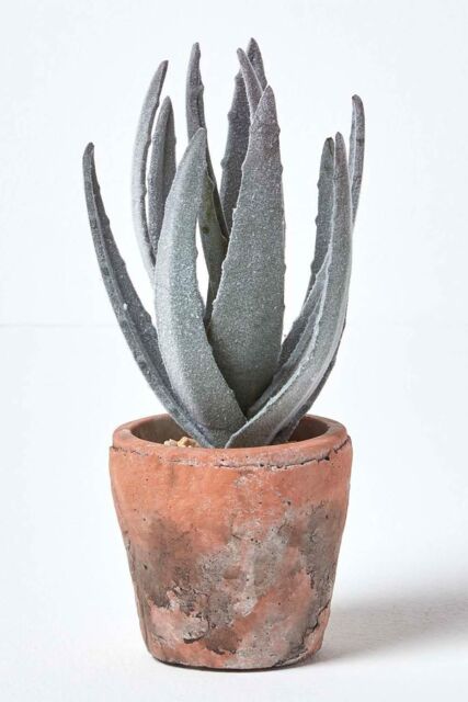 Homescapes Aloe Vera Artificial Succulent in Decorative Rustic Terracotta Pot in Green - image 1