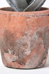 Homescapes Aloe Vera Artificial Succulent in Decorative Rustic Terracotta Pot in Green - thumbnail 3