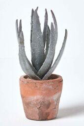 Homescapes Aloe Vera Artificial Succulent in Decorative Rustic Terracotta Pot in Green - thumbnail 5