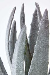 Homescapes Aloe Vera Artificial Succulent in Decorative Rustic Terracotta Pot in Green - thumbnail 4