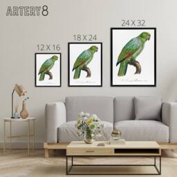 "Artery8 The Southern Mealy Amazon Parrot Levaillant Framed Canvas Wall Art in White - Size: W12"" x H16""" - thumbnail 4